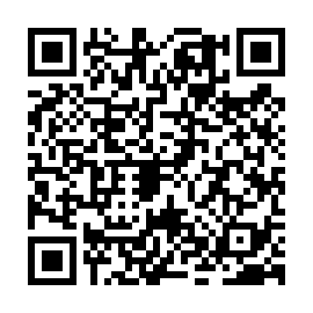 QR code for ZHY4399