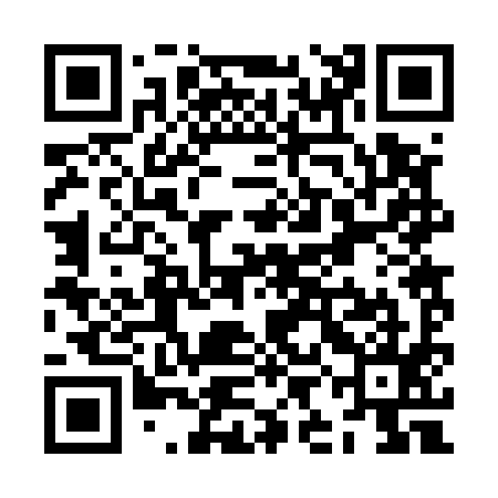 QR code for ZIB595