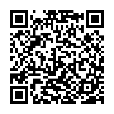 QR code for ZID141