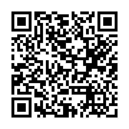 QR code for ZII306
