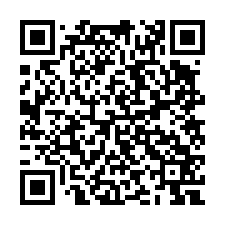 QR code for ZIR463
