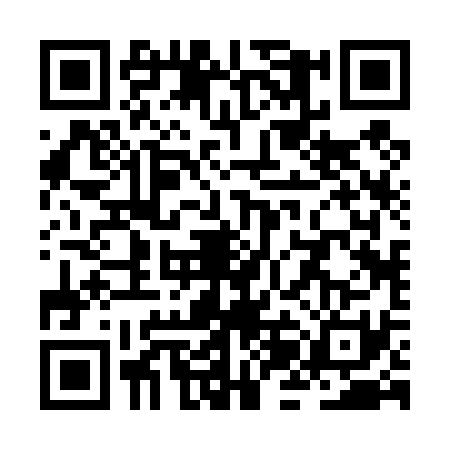 QR code for ZJB4313