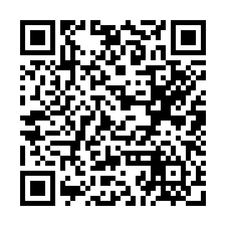 QR code for ZJC384