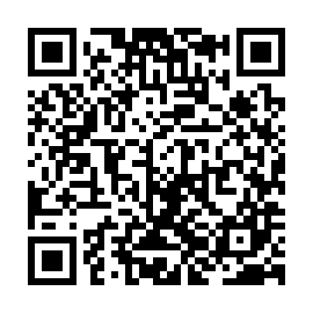 QR code for ZJM387
