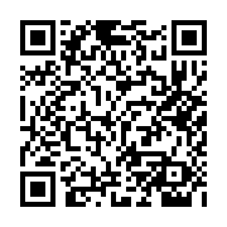 QR code for ZJP388