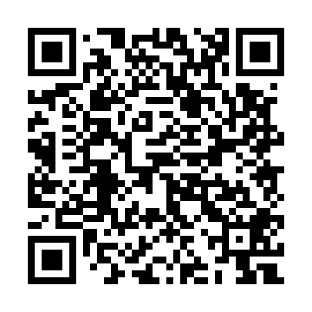 QR code for ZJP508