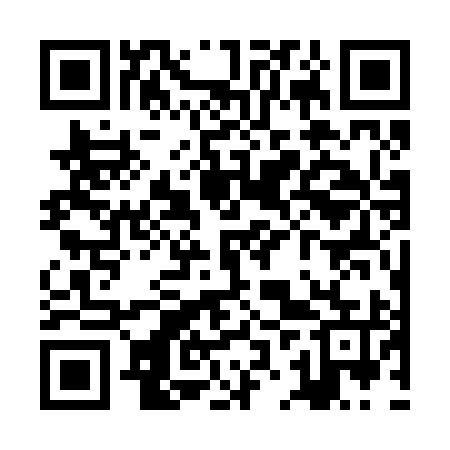 QR code for ZJW295