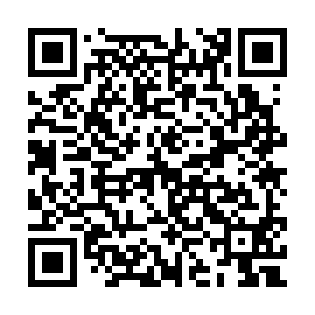 QR code for ZKK390