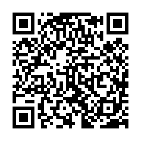 QR code for ZKX491