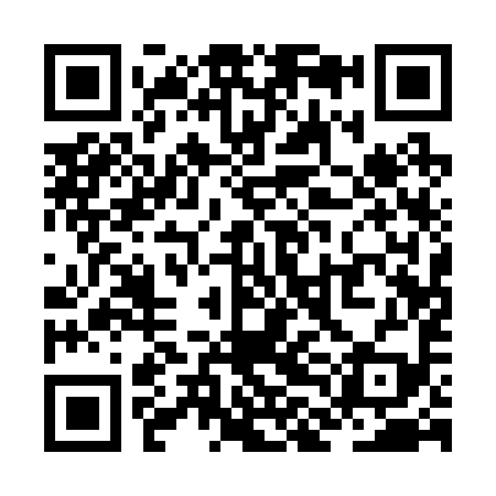 QR code for ZLA299