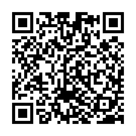 QR code for ZLB509