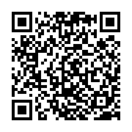 QR code for ZLF595