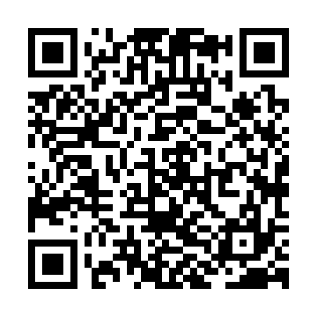 QR code for ZLH337