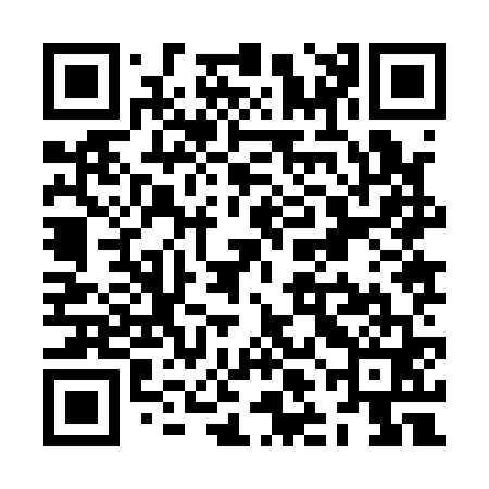 QR code for ZLJ161