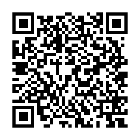 QR code for ZLJ6696