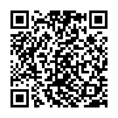 QR code for ZLO989