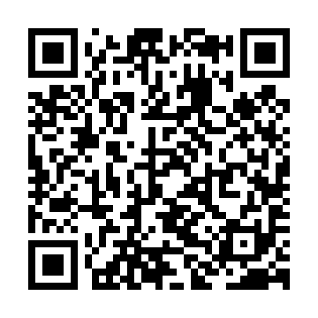 QR code for ZLV491
