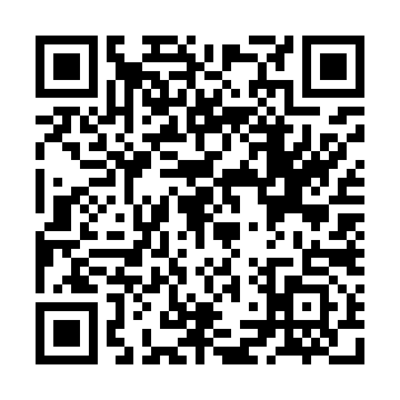 QR code for ZLW9938