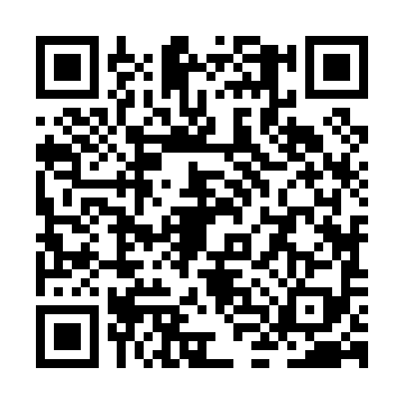 QR code for ZLZ0996