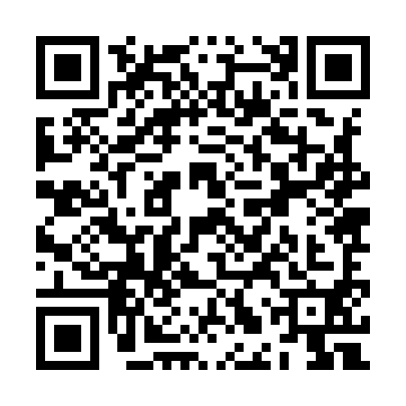 QR code for ZLZ9900