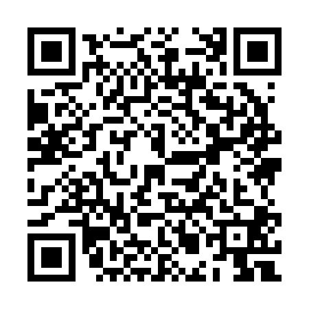 QR code for ZMI2006