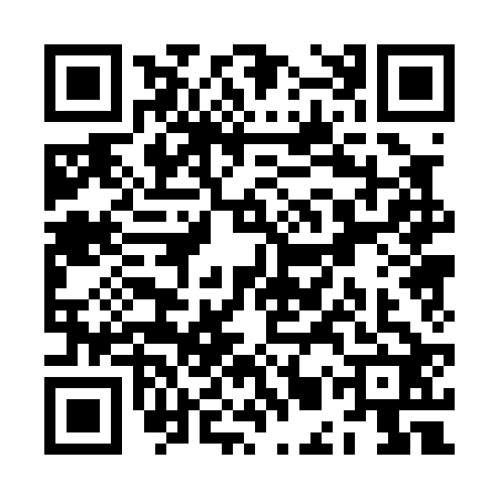 QR code for ZMP0228