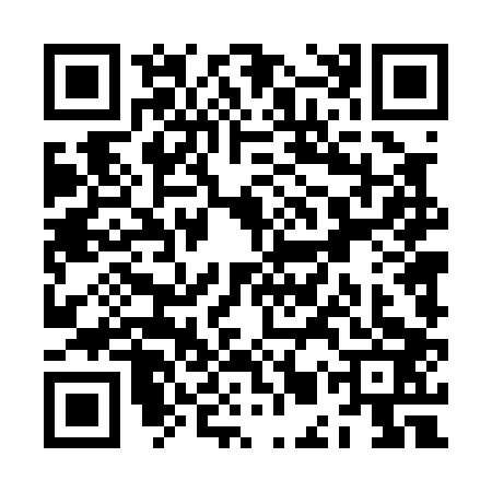 QR code for ZMT0038