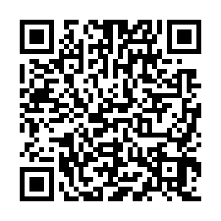 QR code for ZMZ7438