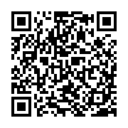 QR code for ZMZ981