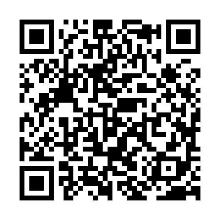 QR code for ZMZ998