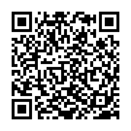 QR code for ZPI311