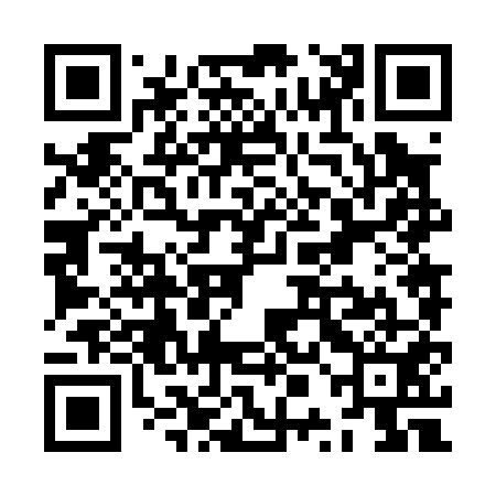 QR code for ZPN051