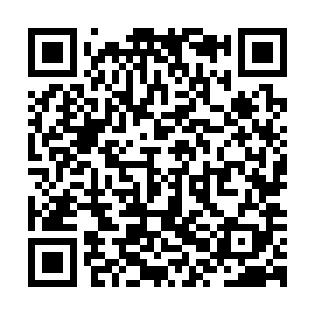 QR code for ZPN389