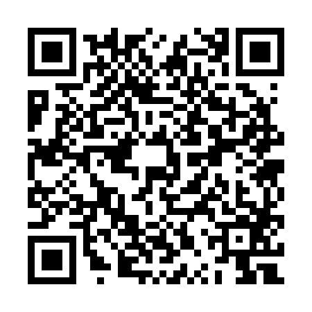 QR code for ZPS2868