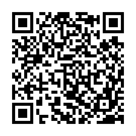 QR code for ZPU656