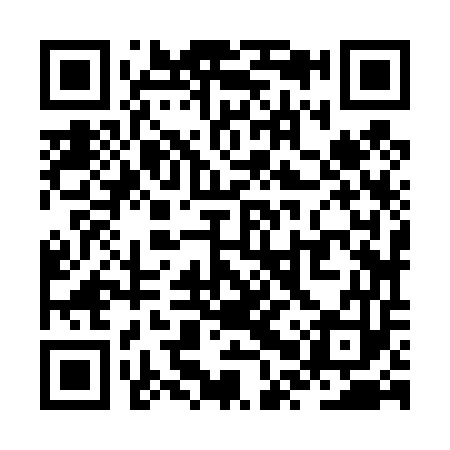QR code for ZPZ453