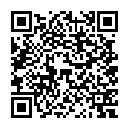 QR code for ZQG0729
