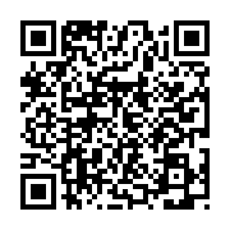 QR code for ZQL5381