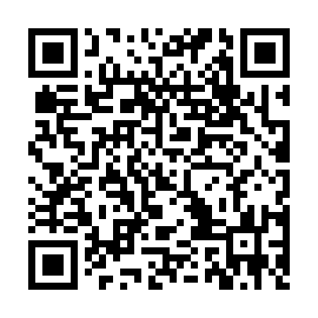 QR code for ZQN313