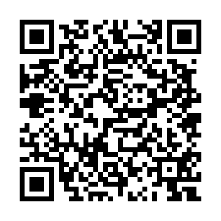 QR code for ZQZ4119