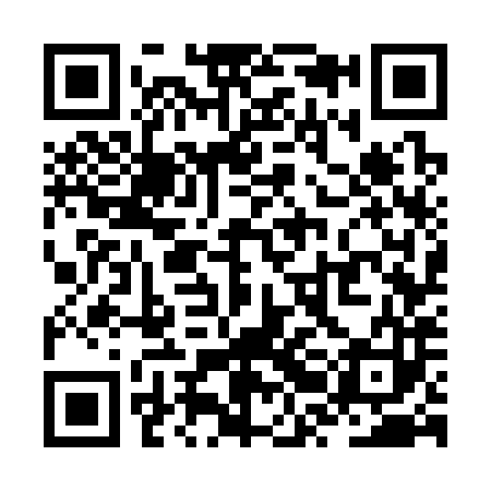QR code for ZRG383