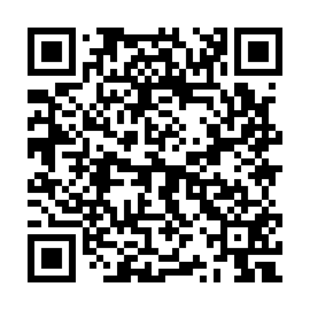 QR code for ZRY151