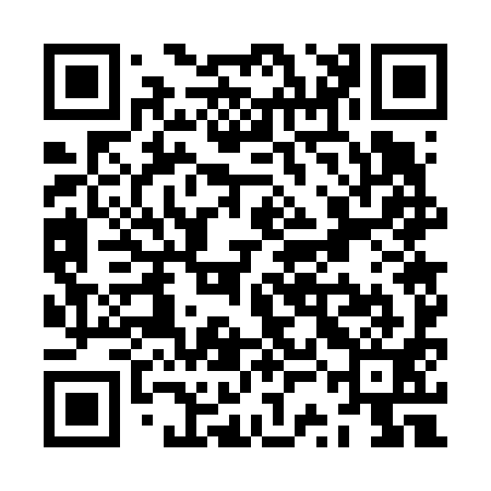 QR code for ZSG691