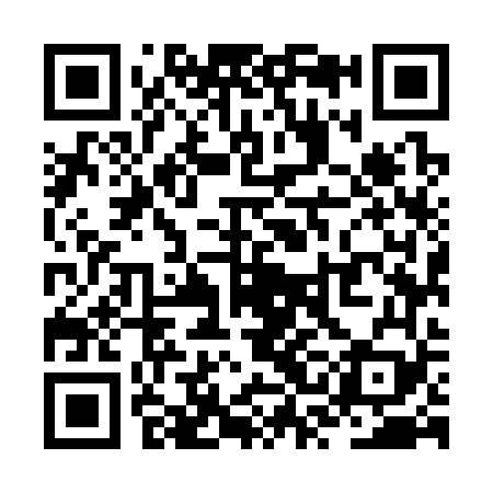 QR code for ZSM369