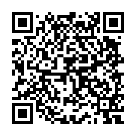 QR code for ZSP491