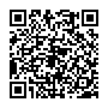 QR code for ZTN2982