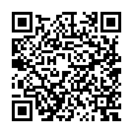 QR code for ZTP9533