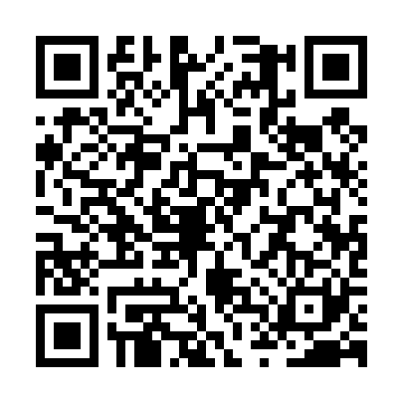 QR code for ZTQ4217