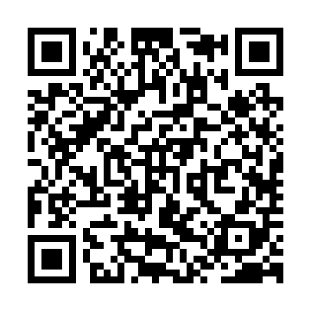 QR code for ZTR208