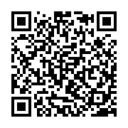 QR code for ZTR918
